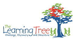 Home - The Learning Tree Childcare | Challenge, Discovery and Adventure